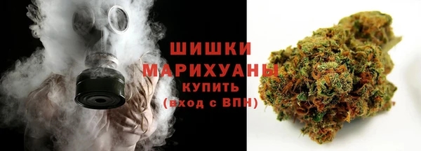 прущие грибы Баксан