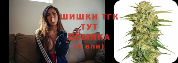 индика Балабаново