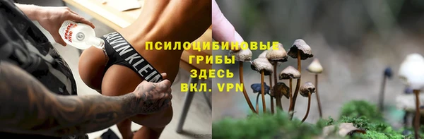 прущие грибы Баксан