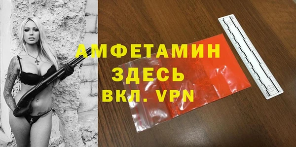 индика Балабаново