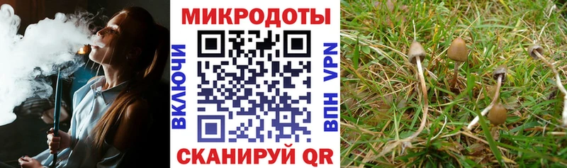 Галлюциногенные грибы Psilocybe даркнет формула Шарья